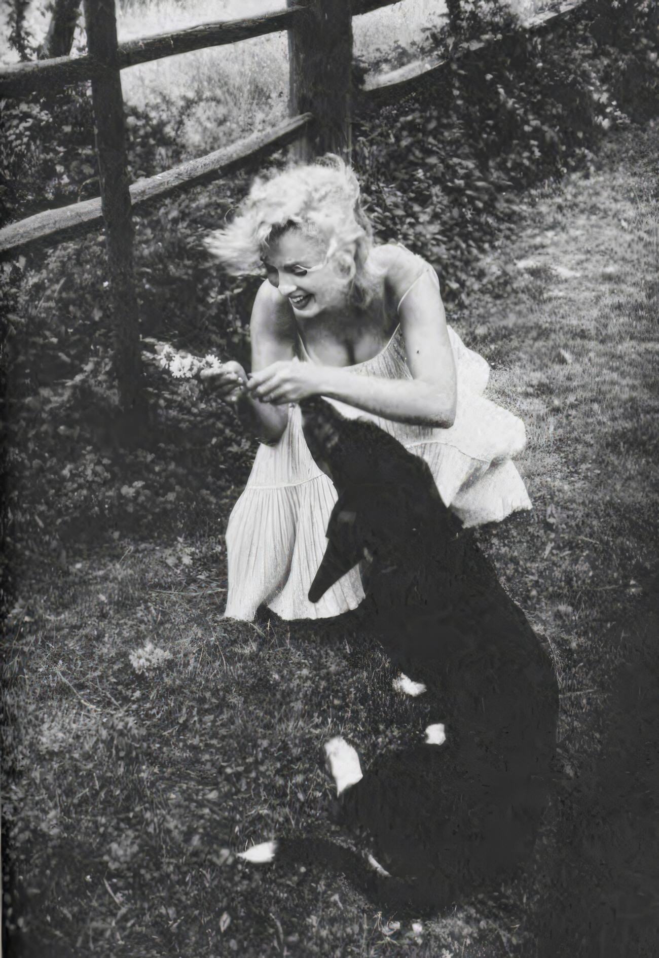 Heartwarming Vintage Photos Of Marilyn Monroe Posing With Her Dogs