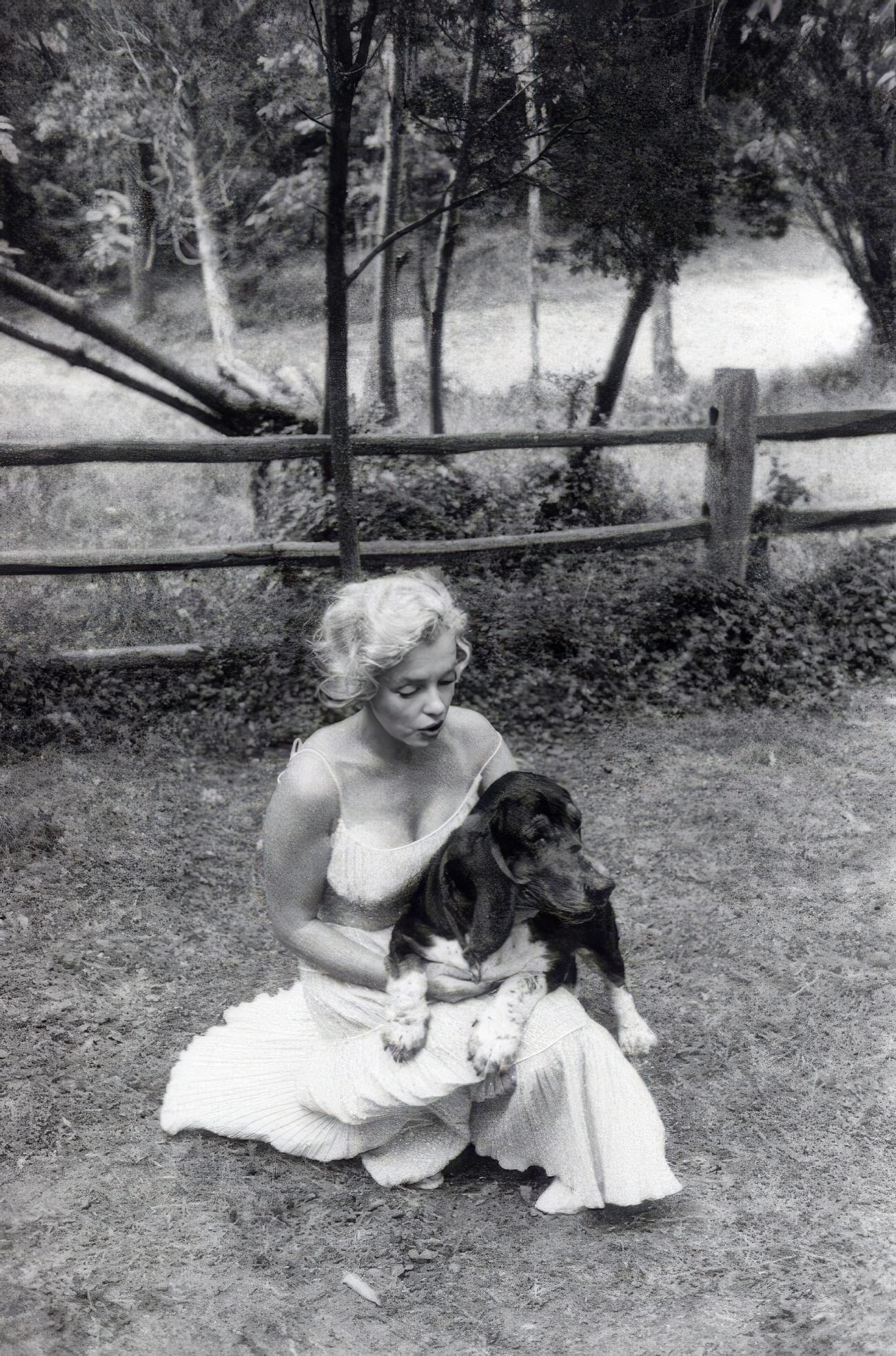 Heartwarming Vintage Photos Of Marilyn Monroe Posing With Her Dogs
