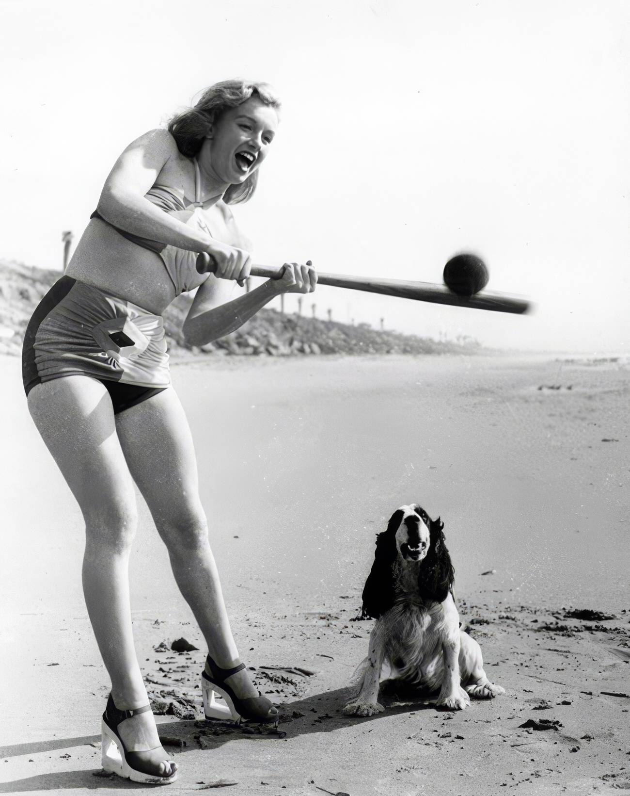 Heartwarming Vintage Photos Of Marilyn Monroe Posing With Her Dogs