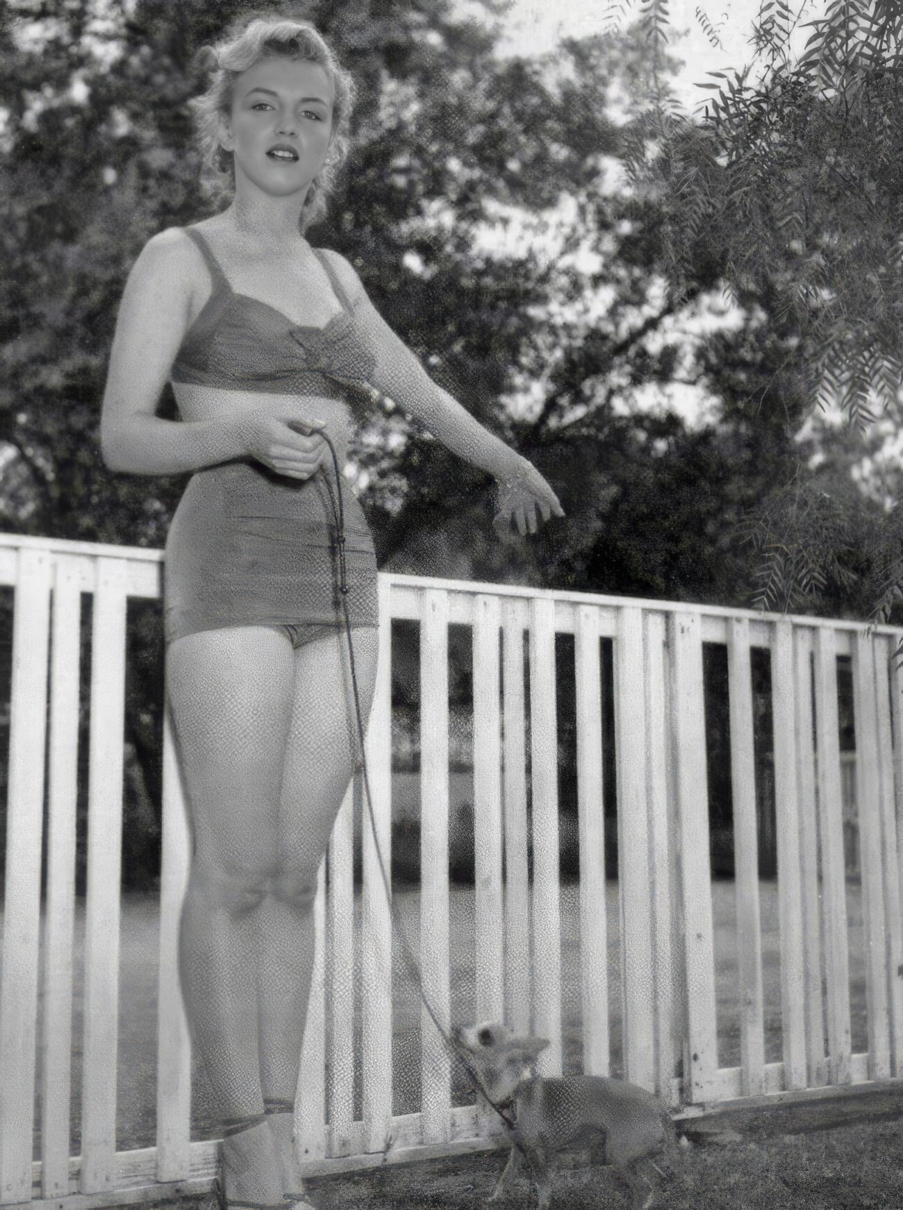 Heartwarming Vintage Photos Of Marilyn Monroe Posing With Her Dogs