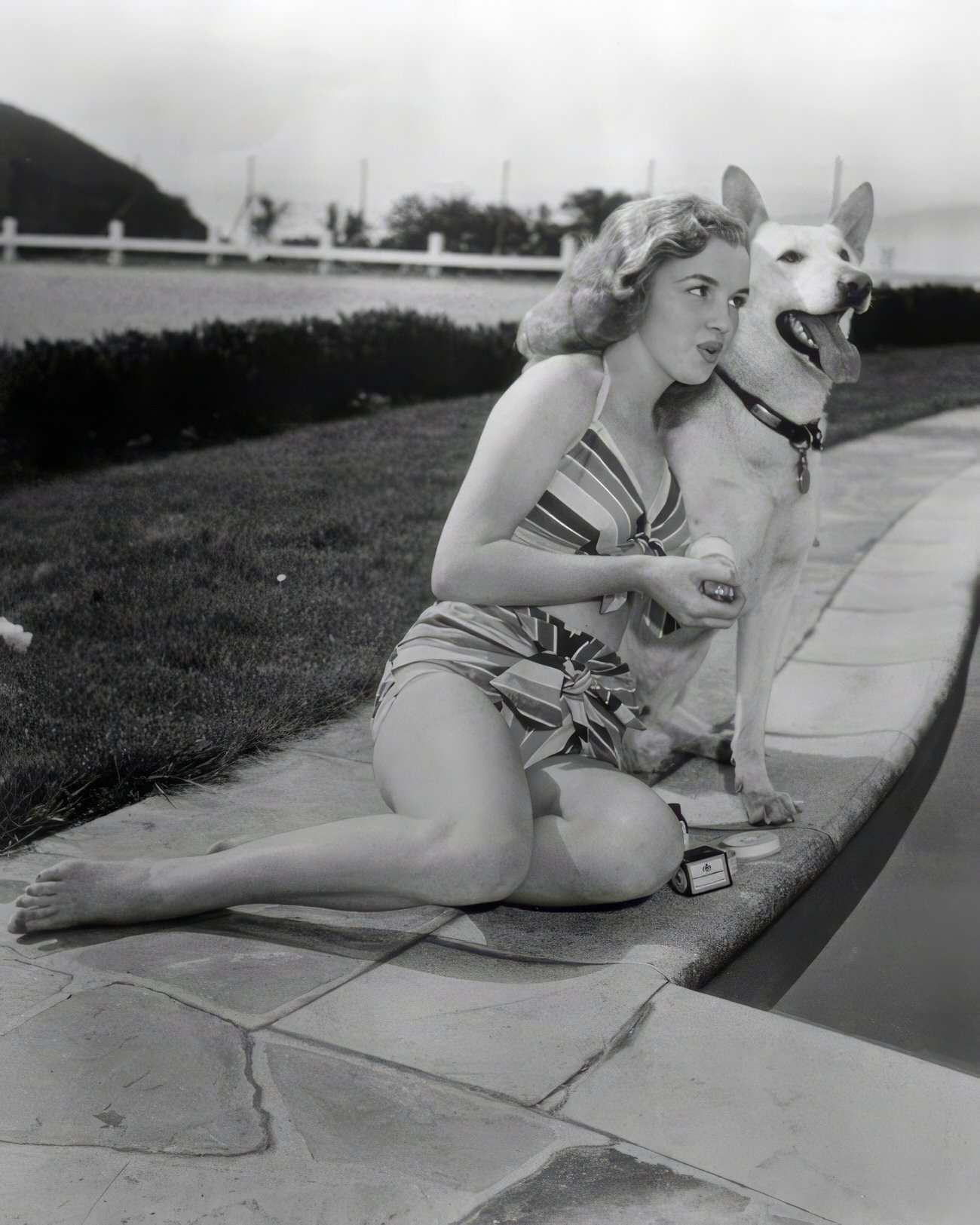 Heartwarming Vintage Photos Of Marilyn Monroe Posing With Her Dogs