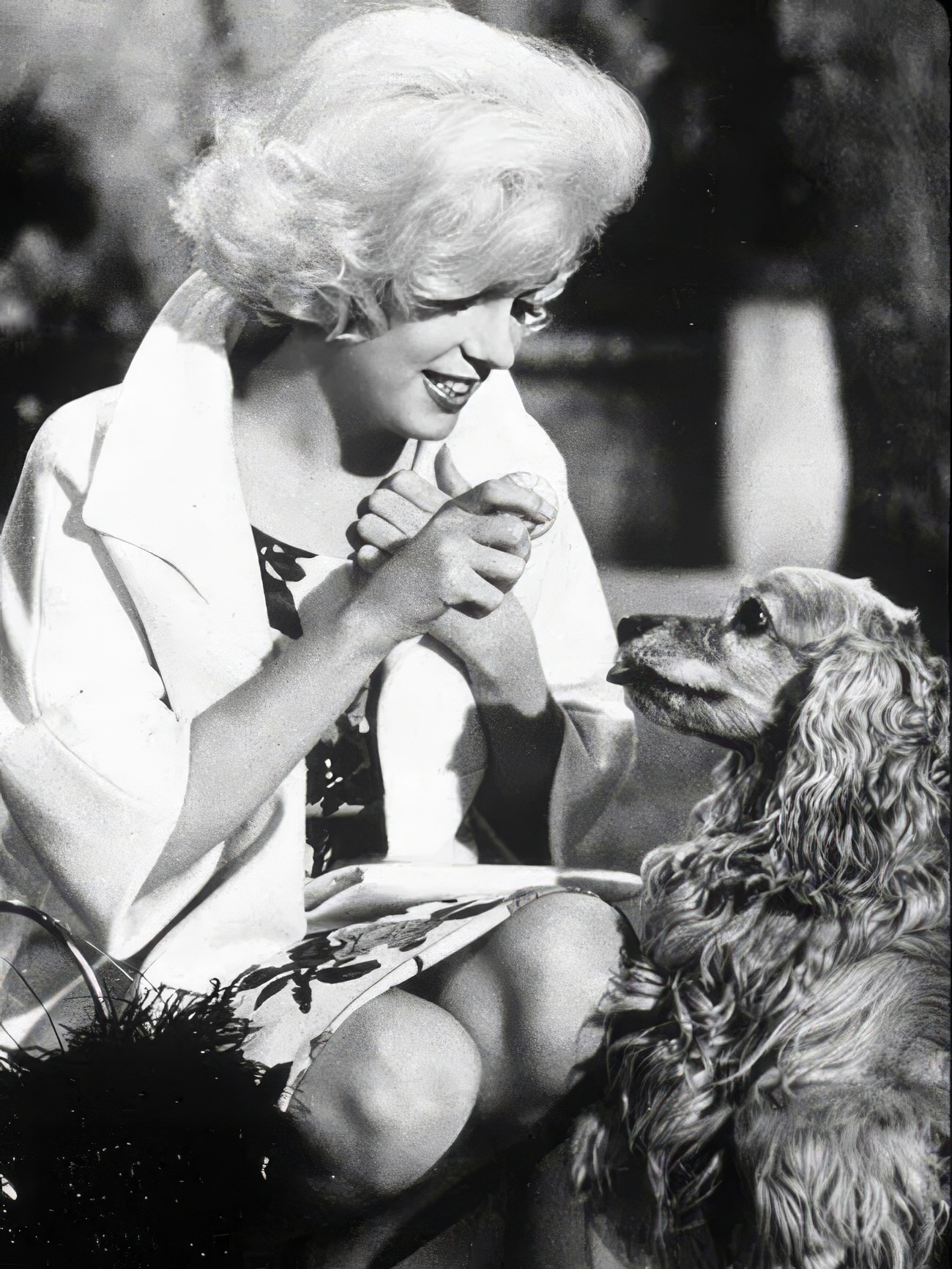 Heartwarming Vintage Photos Of Marilyn Monroe Posing With Her Dogs