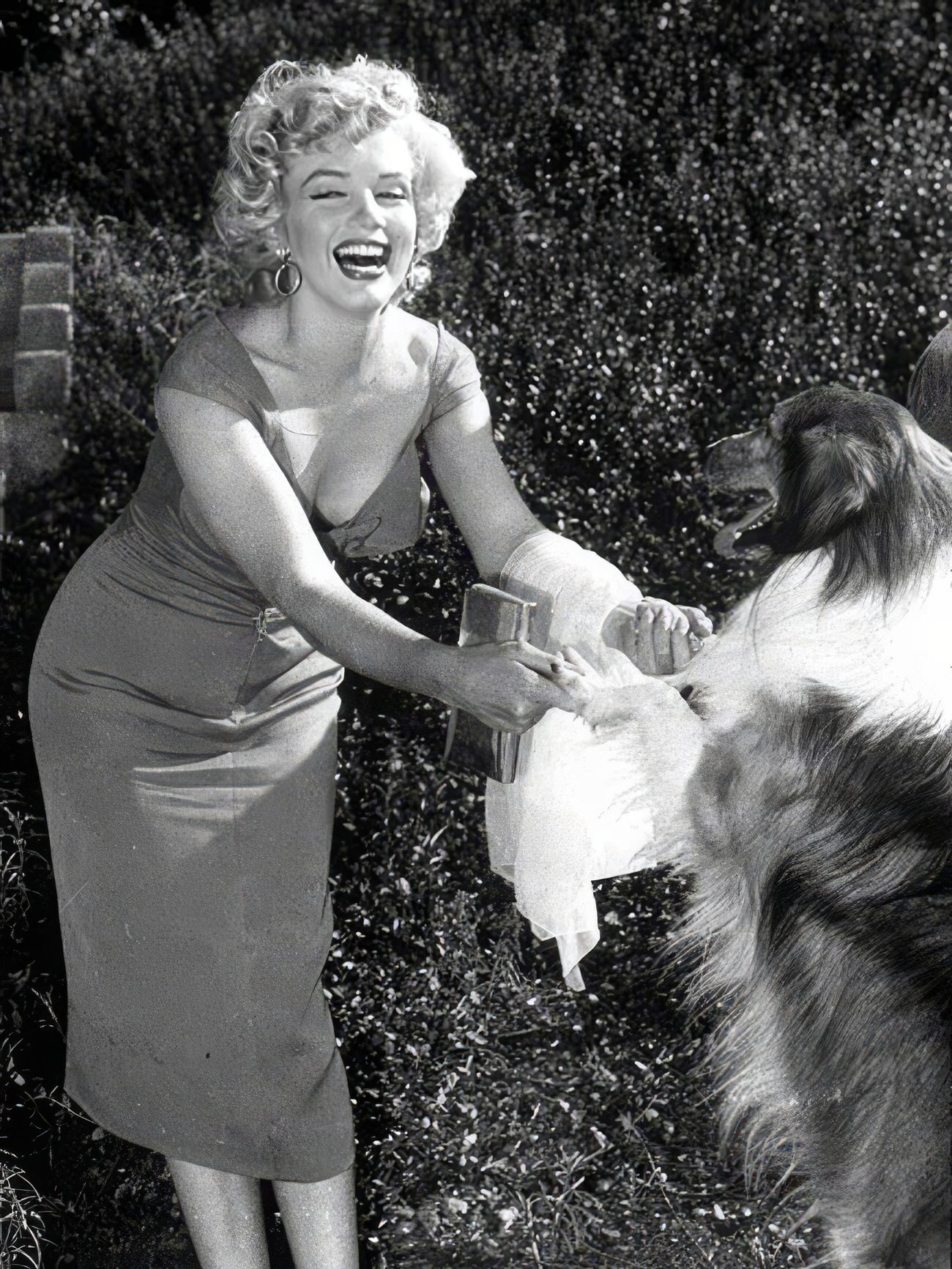 Heartwarming Vintage Photos Of Marilyn Monroe Posing With Her Dogs