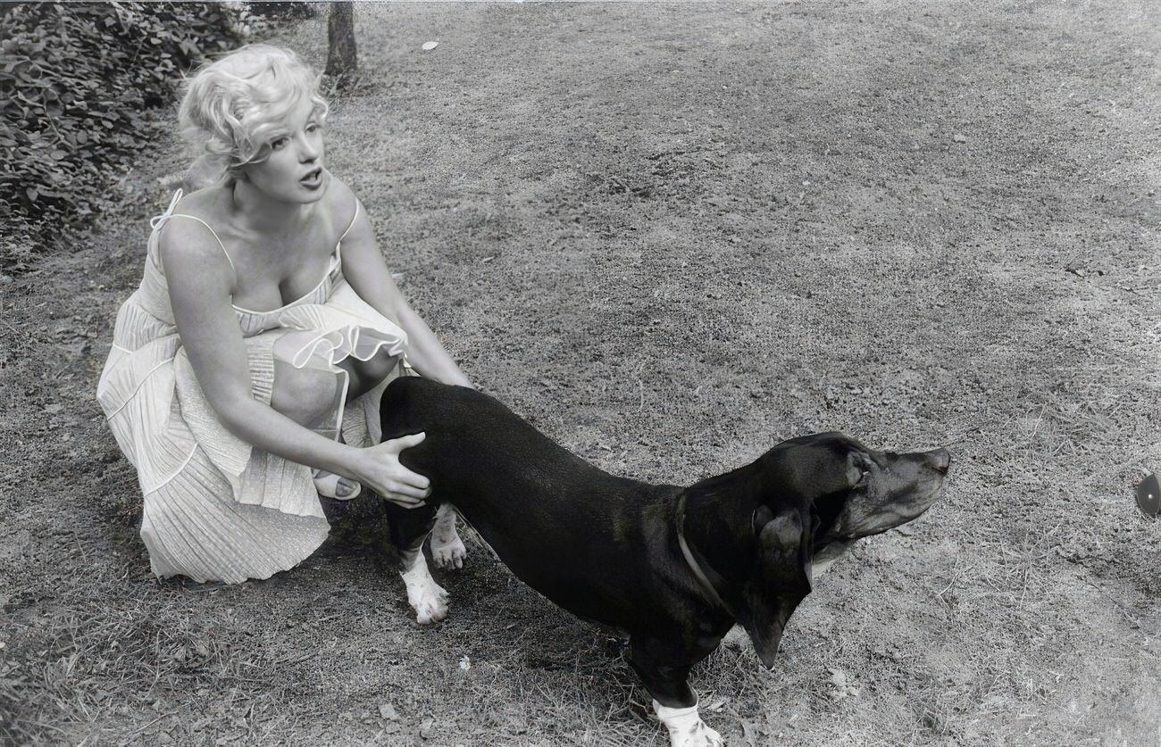 Heartwarming Vintage Photos Of Marilyn Monroe Posing With Her Dogs