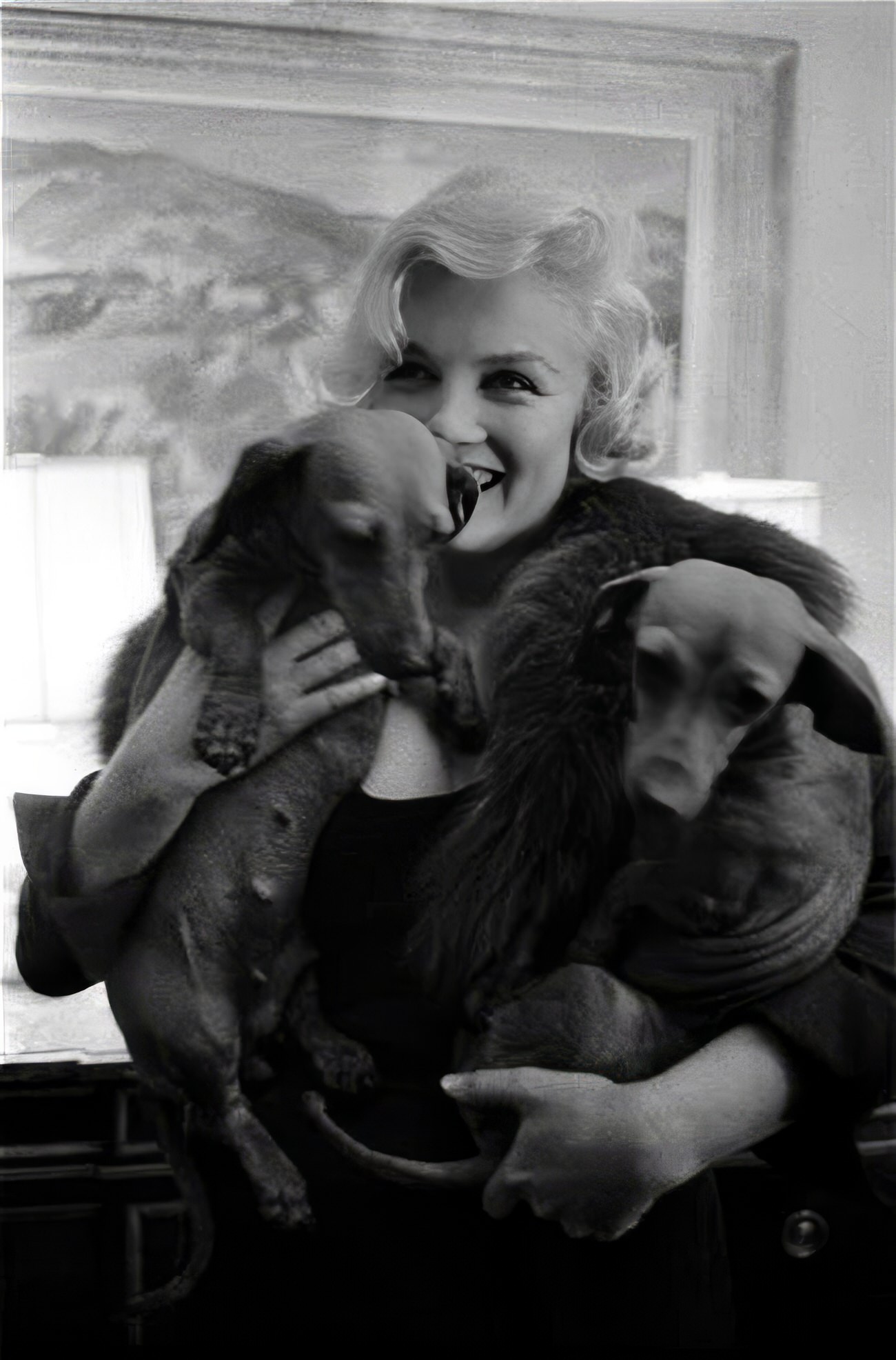 Heartwarming Vintage Photos Of Marilyn Monroe Posing With Her Dogs