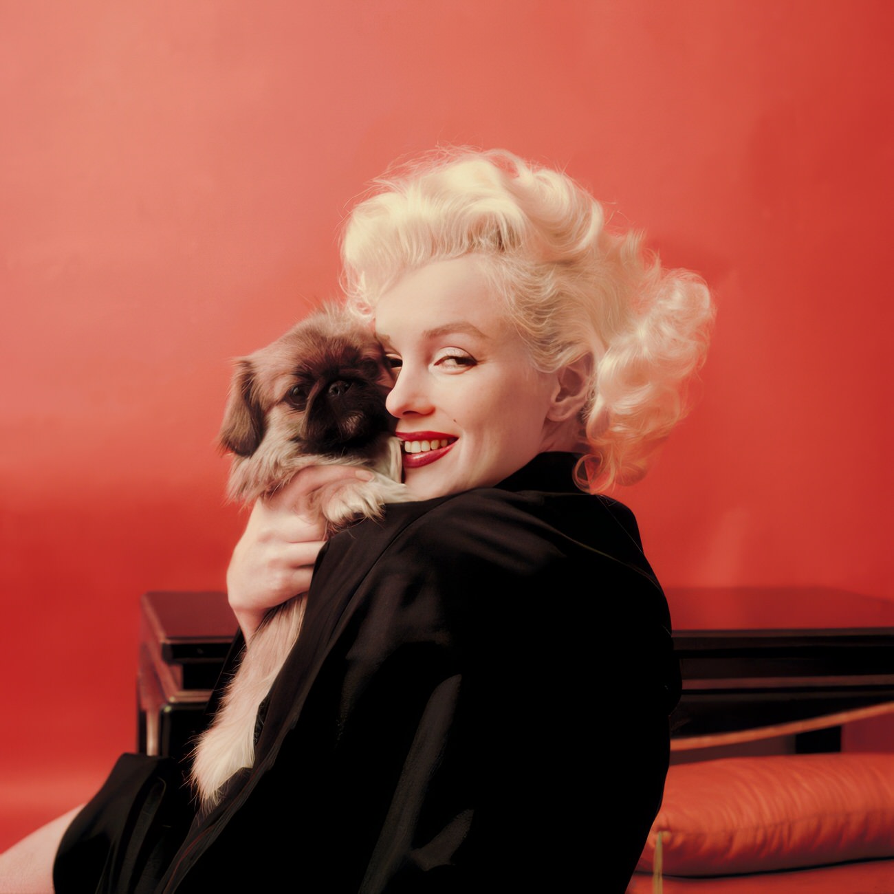 Heartwarming Vintage Photos Of Marilyn Monroe Posing With Her Dogs