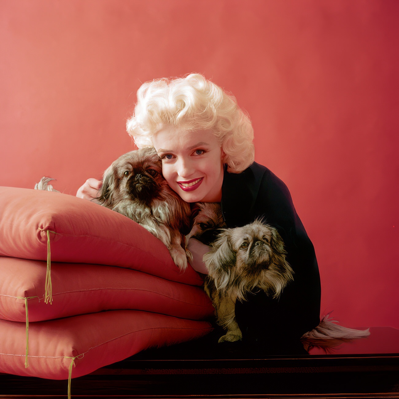 Heartwarming Vintage Photos Of Marilyn Monroe Posing With Her Dogs