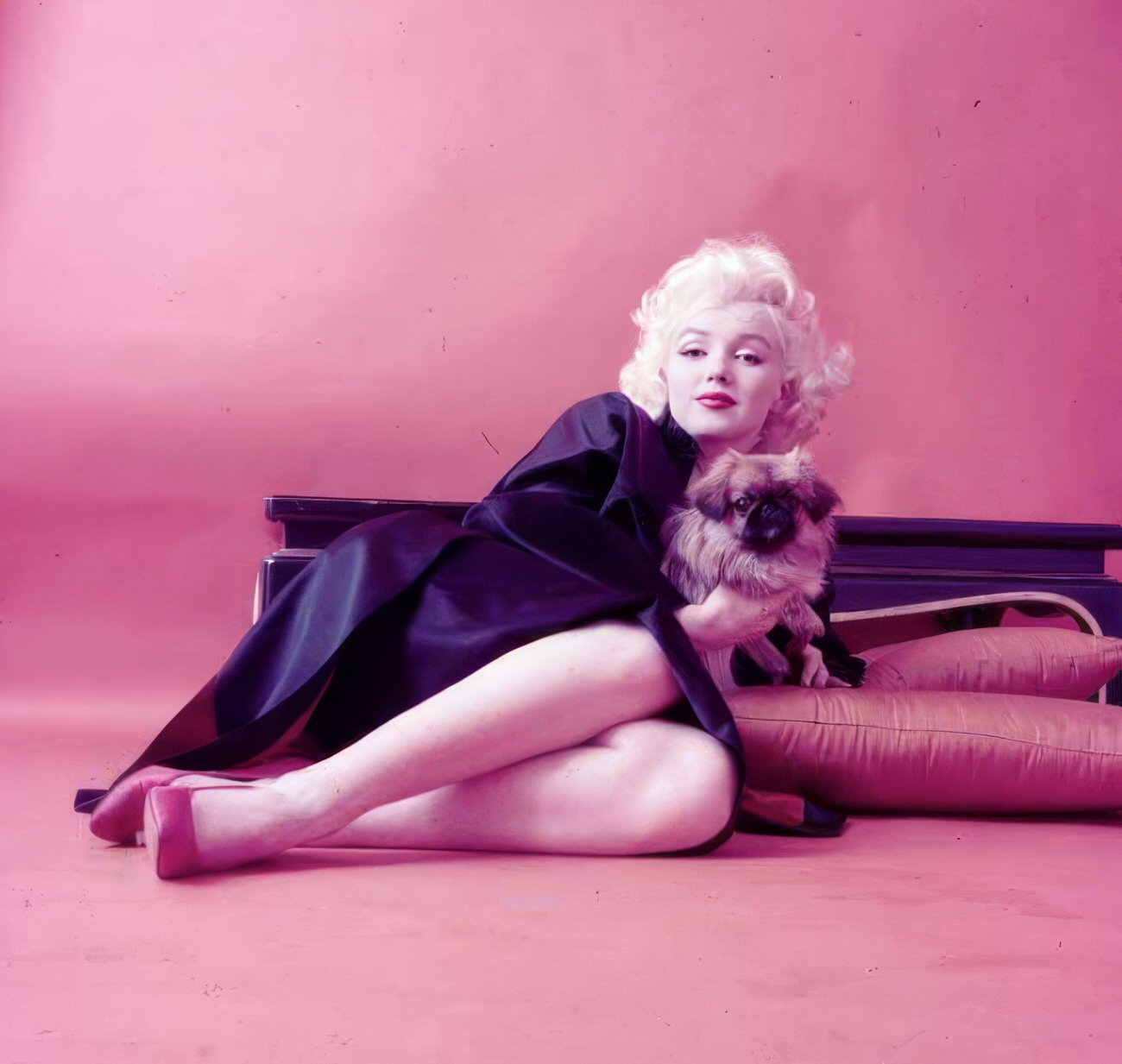 Heartwarming Vintage Photos Of Marilyn Monroe Posing With Her Dogs