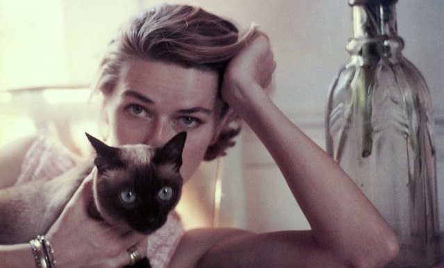 Francesco Scavullo Fashion Photography 1950S