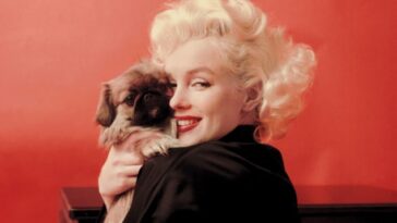 Marilyn Monroe With Her Dogs