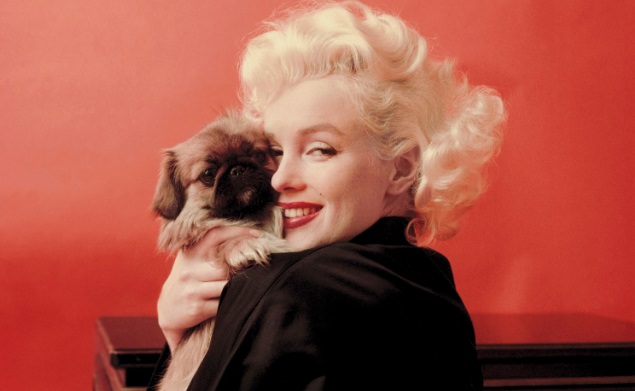 Heartwarming Vintage Photos of Marilyn Monroe Posing with her Dogs