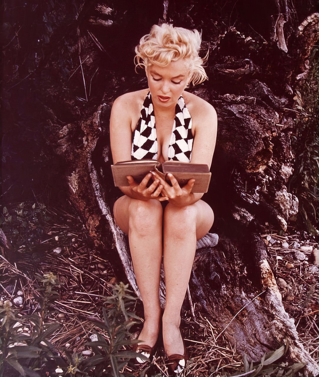 Marilyn Monroe: The Hollywood Icon'S Love Affair With Books