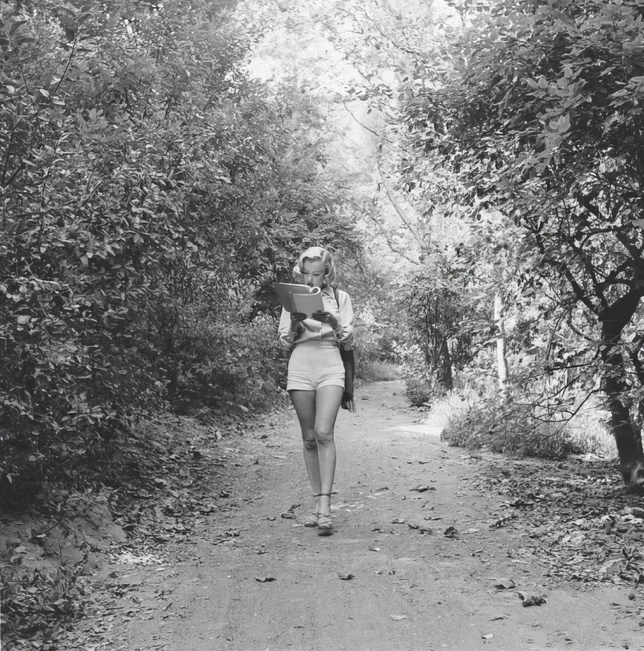 Marilyn Monroe: The Hollywood Icon'S Love Affair With Books