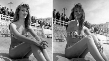 Brigitte Bardot In Bikini