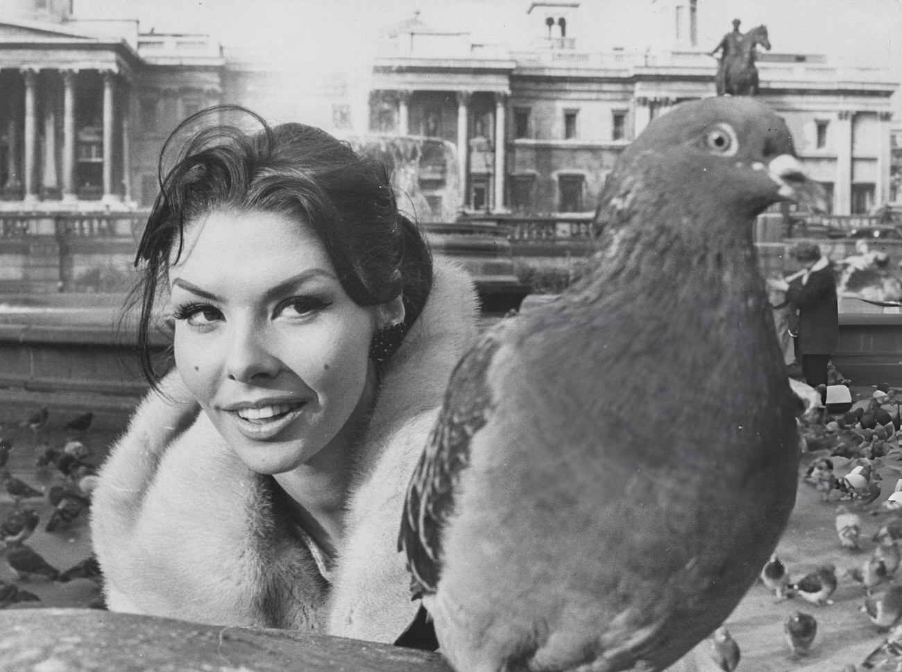 Gloria Paul Inspecting A Pigeon In Trafalgar Square During A Break In Filming &Amp;Quot;The Intelligence Men,&Amp;Quot; 1964.