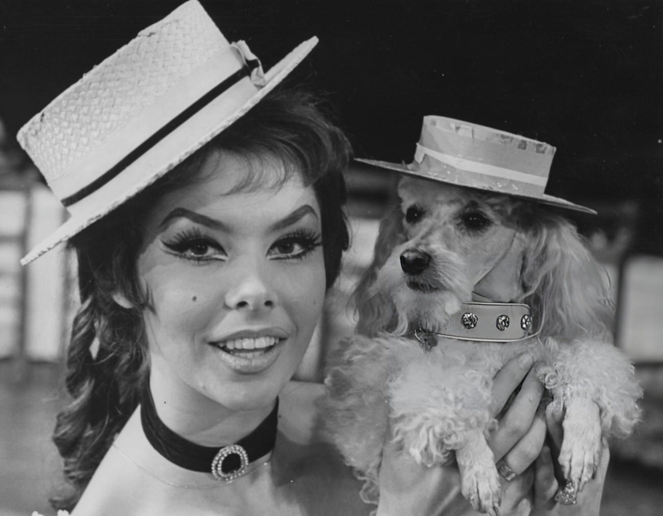 Gloria Paul And Her Poodle &Amp;Quot;Gigi&Amp;Quot; Wearing Matching Hats In The Show &Amp;Quot;Enrico,&Amp;Quot; 1963.