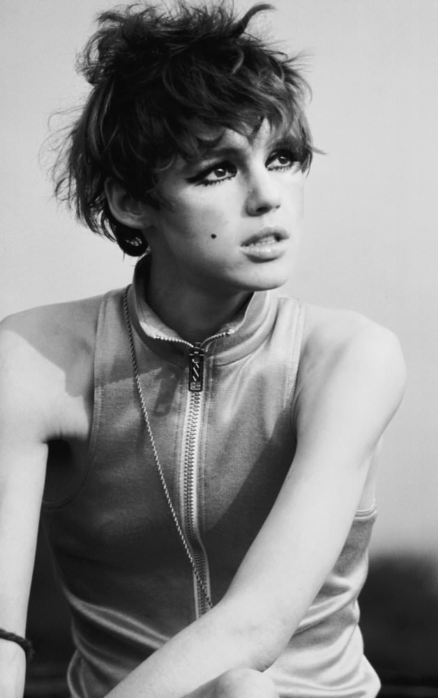 Pop Art Princess: Edie Sedgwick'S Captivating Presence In Andy Warhol'S Photography
