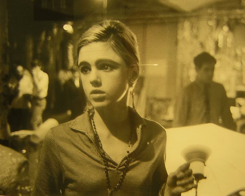 Pop Art Princess: Edie Sedgwick'S Captivating Presence In Andy Warhol'S Photography