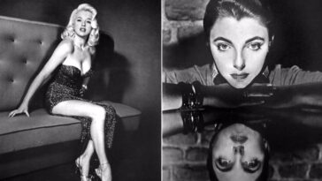 Cornel Lucas Celebrity Portraits