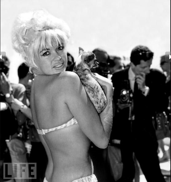 Jayne Mansfield Strolls On The Beach With Her Chihuahua, Cannes, 1964.