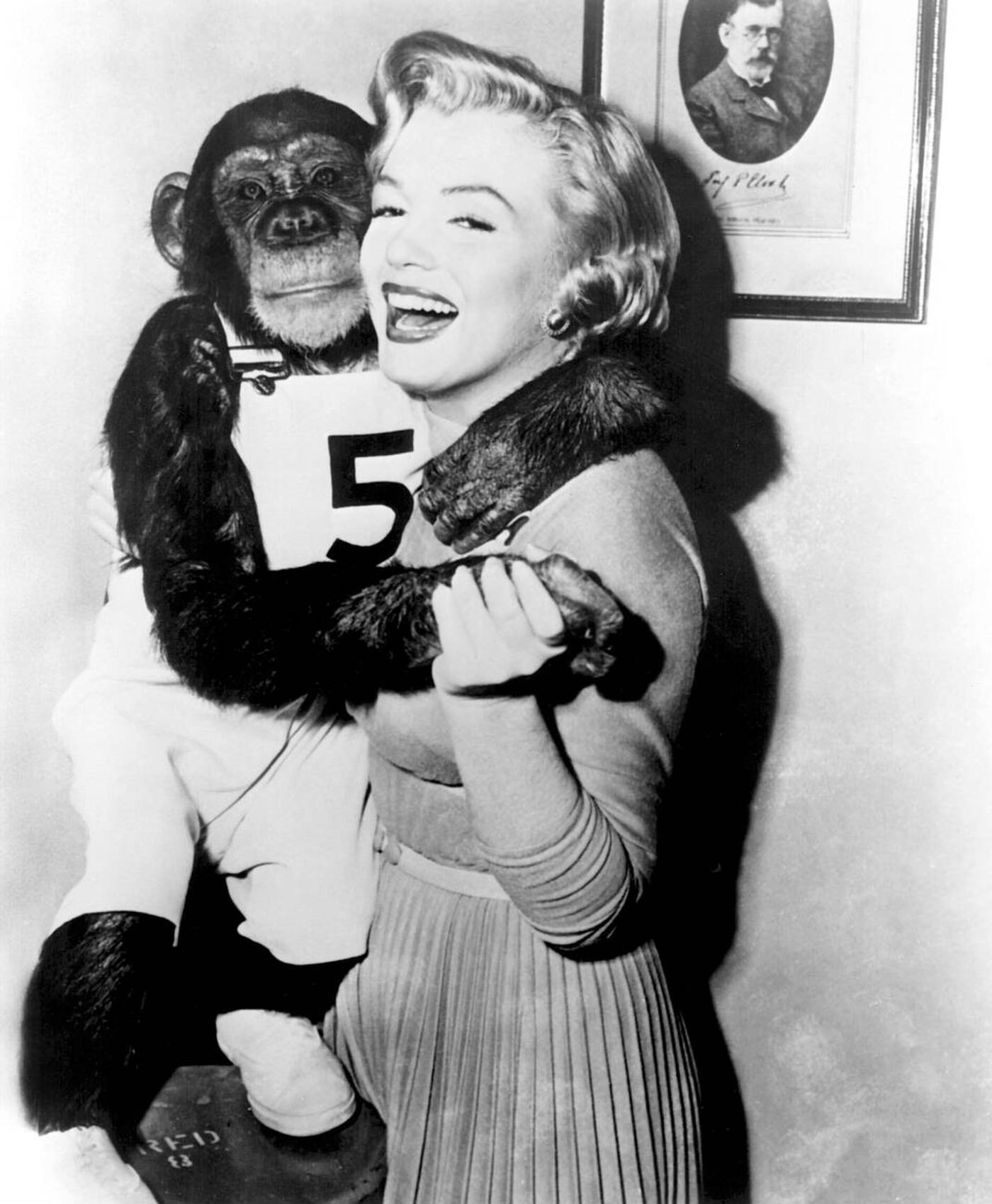 Marilyn Monroe In 'Monkey Business', 1952.