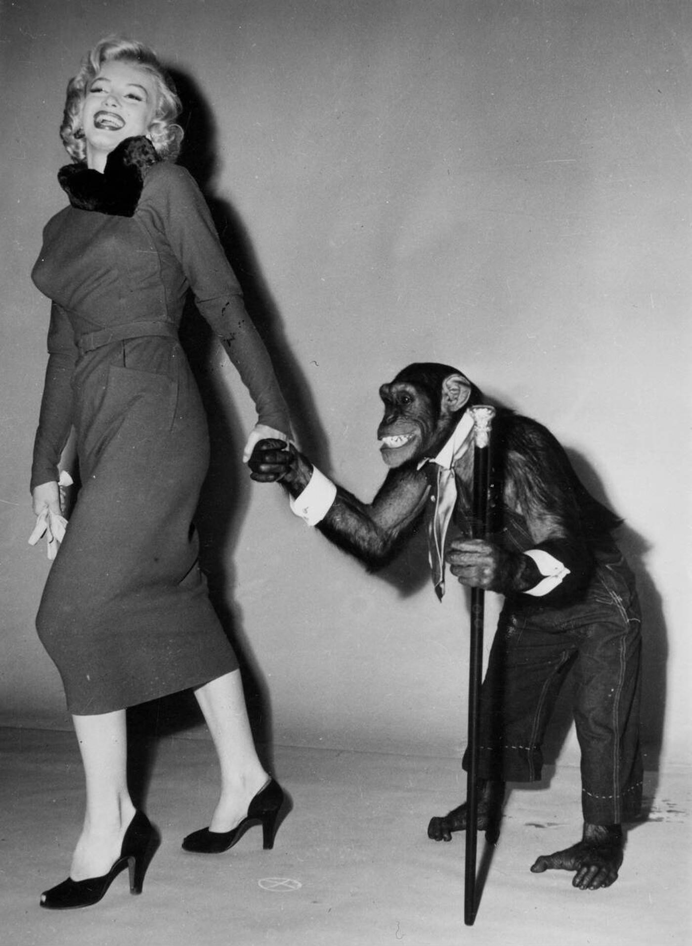 Marilyn Monroe In 'Monkey Business', 1952.