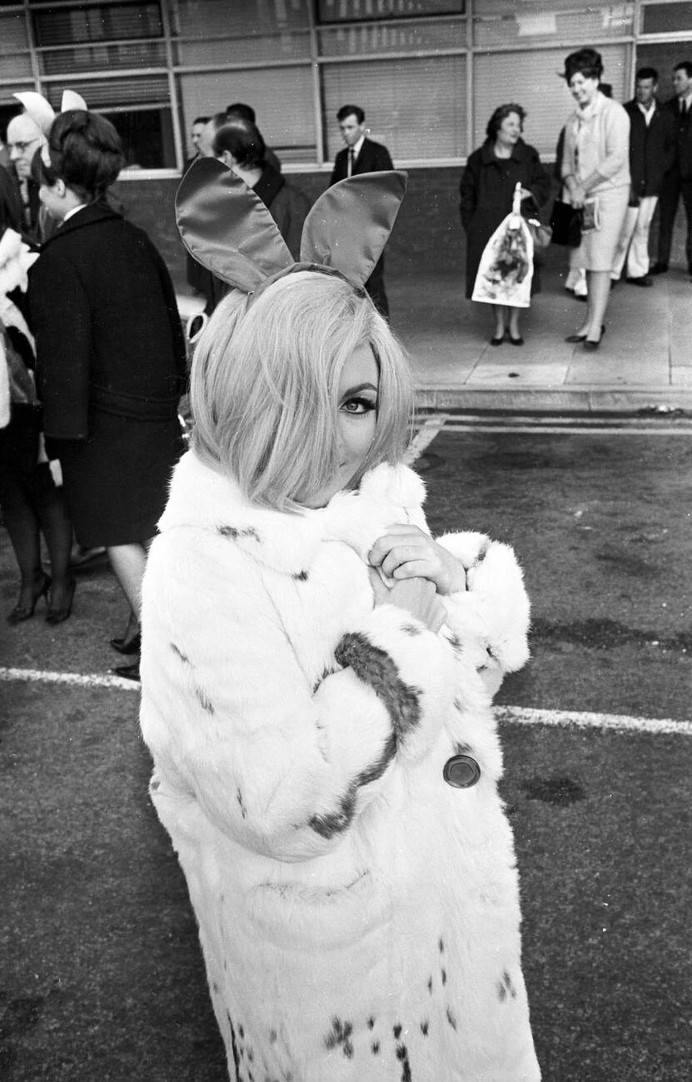 One Of The British Bunnies, Who Flew In From The Us Where They Had Been Training, Will Start Training Another 94 Bunnies For Europe'S First Playboy Club Opening In London In June, 1966.