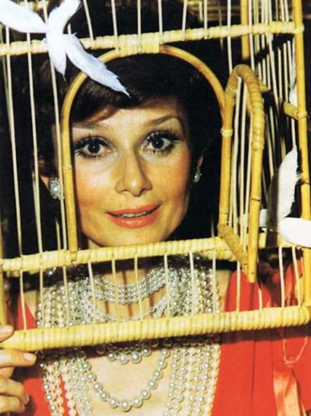 Audrey Hepburn At The Surrealist Ball At Château De Ferrières, Paris, 1972
