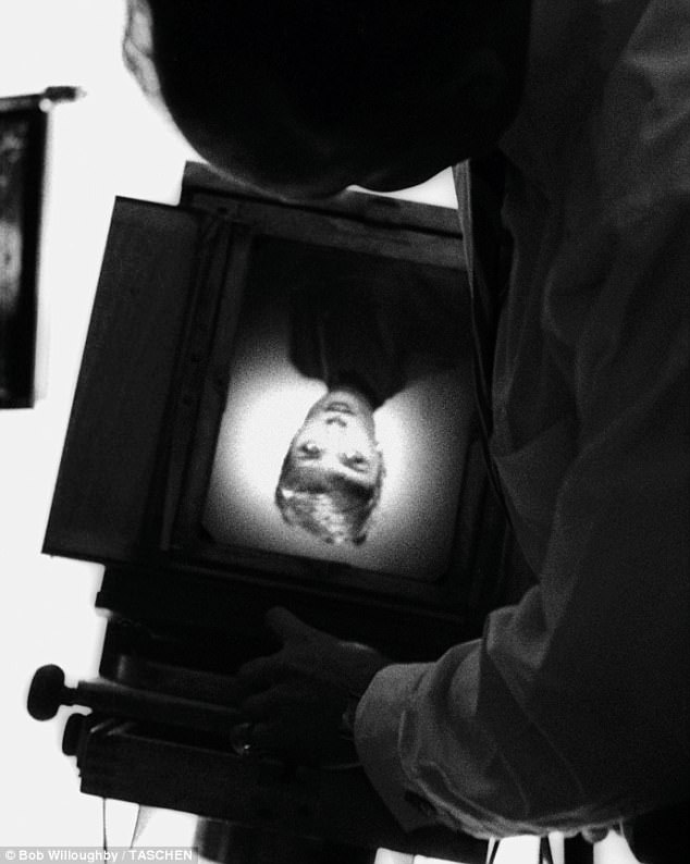 Bob Willoughby Examining A Still Of Audrey Hepburn.