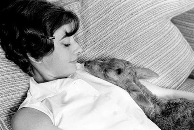 Audrey Hepburn Through The Years: Fabulous And Iconic Photos You Need To See
