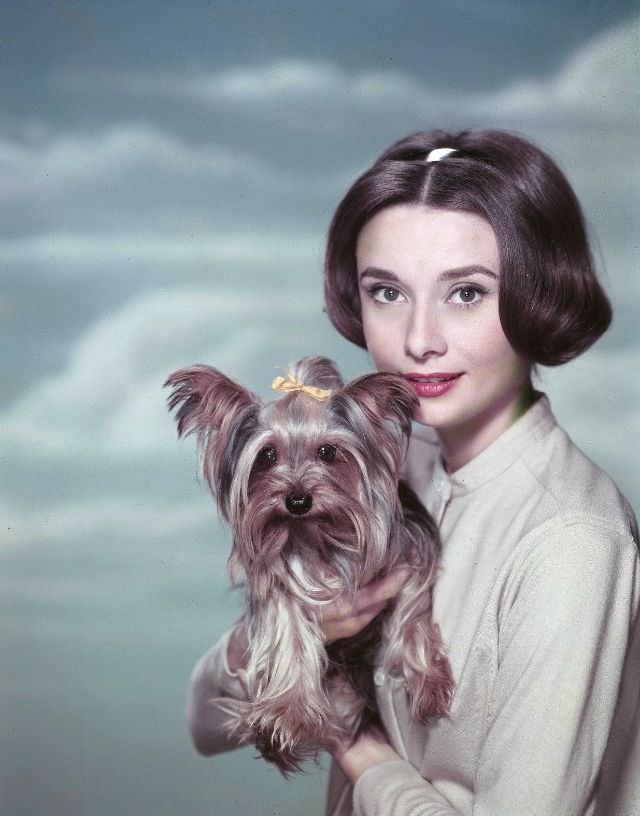 Audrey Hepburn With Her Yorkshire Terrier Mr. Famous At Paramount Studios, 1957