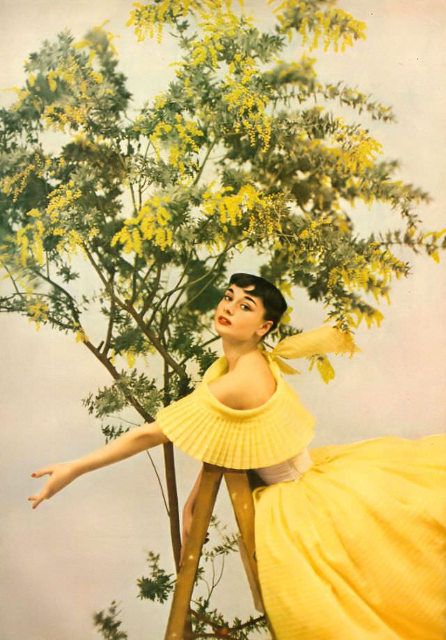 Audrey Hepburn Wearing A Yellow Dress By Ceil Chapman For Harper'S Bazaar, 1952