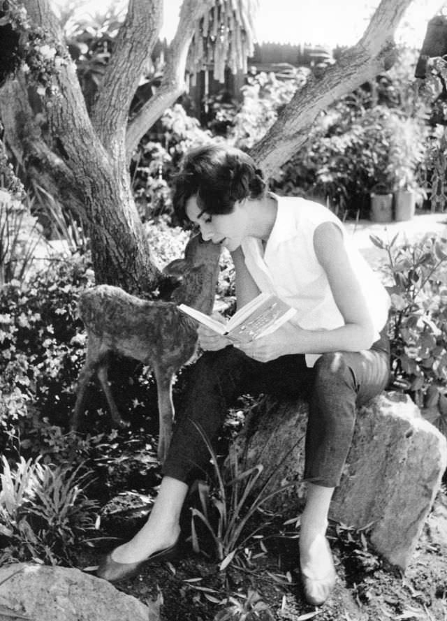 Audrey Hepburn And Ip In The Yard Of Her Home, 1958