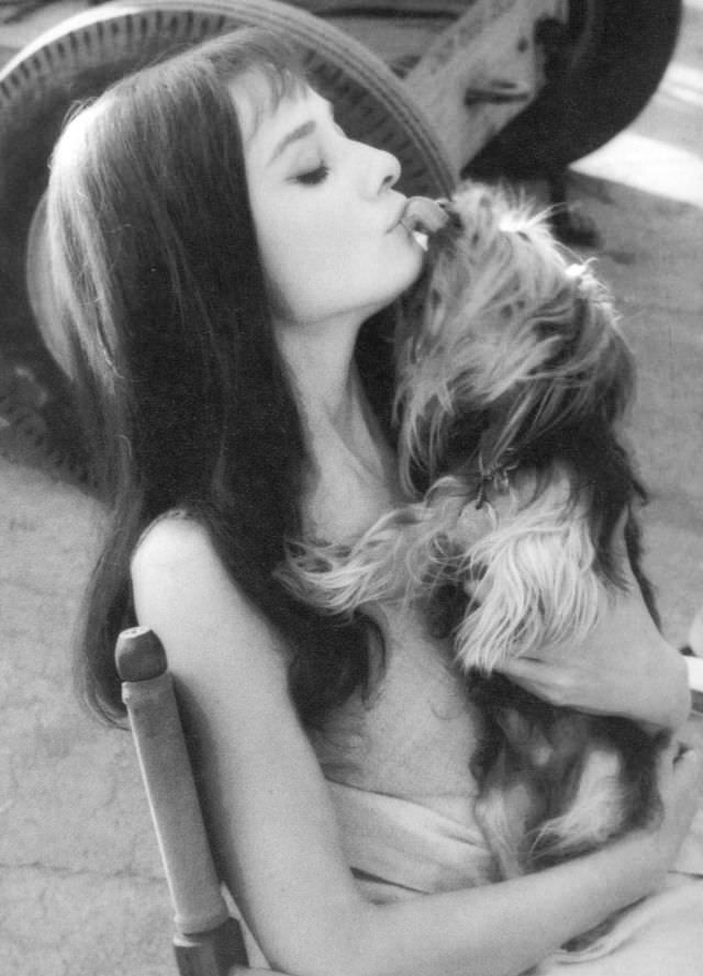 Audrey Hepburn With Her Yorkshire Terrier Mr. Famous And Pet Fawn Ip, 1958