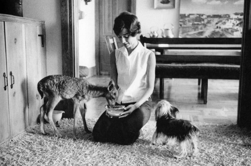 Audrey Hepburn With Ip And Mr. Famous At Home, 1958