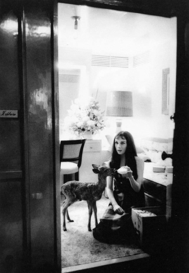 Audrey Hepburn With Ip In Her Dressing Room On The Set Of Green Mansions, 1958
