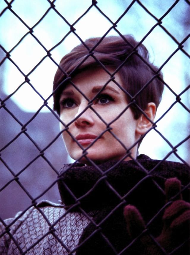 Audrey Hepburn In New York Before The Filming Of Wait Until Dark, 1967
