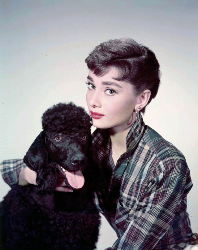 Audrey Hepburn In A Publicity Photo For Sabrina, 1954