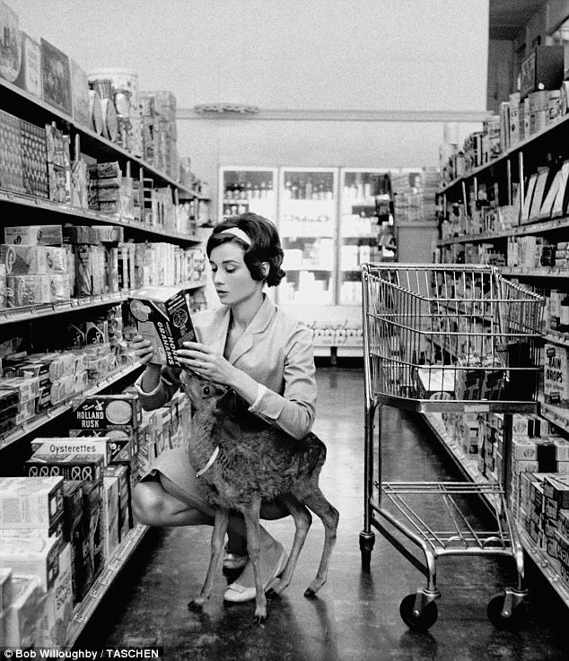 Audrey Hepburn With Her Pet Fawn Ip At A Supermarket In Beverly Hills, 1958