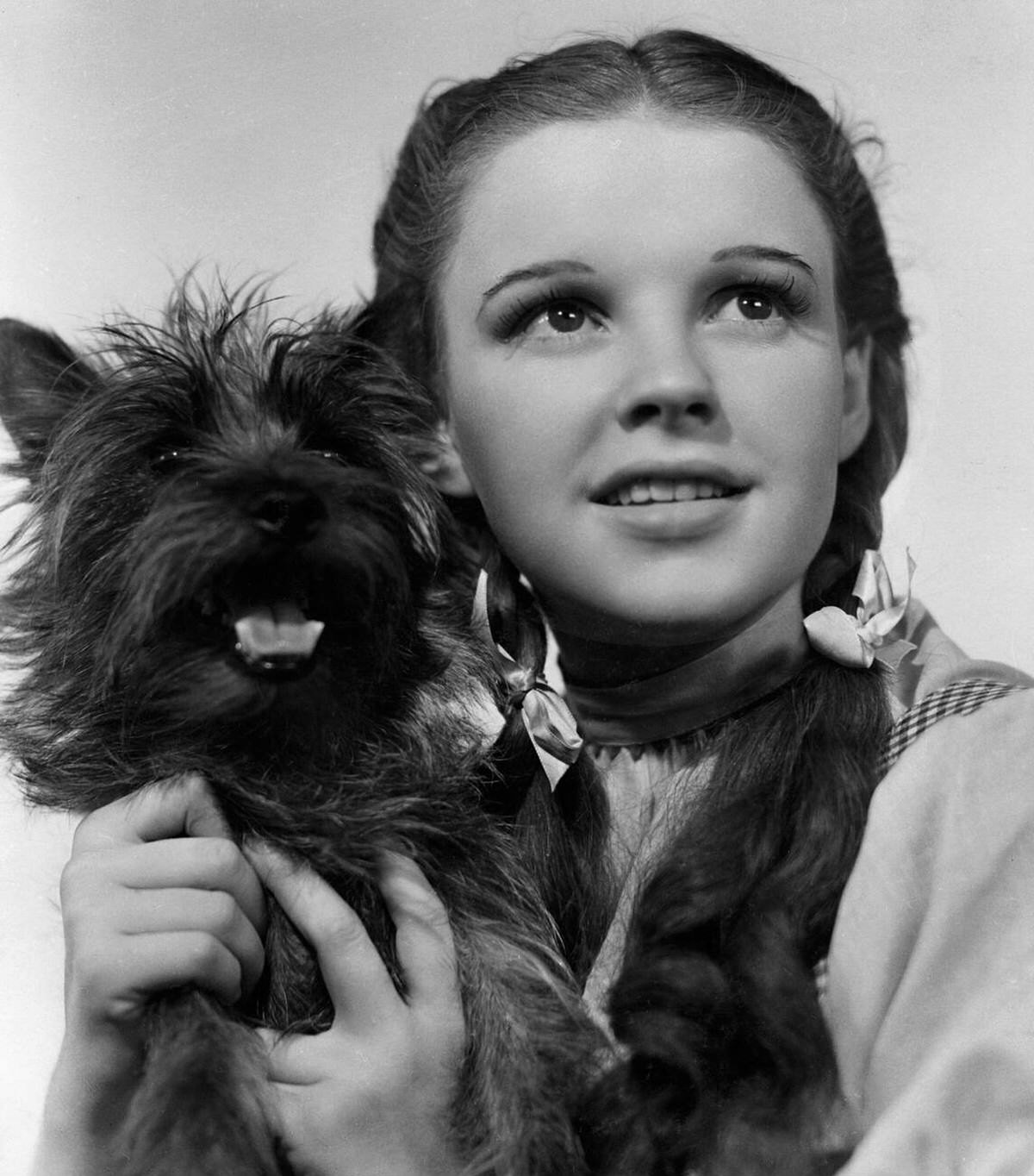 Judy Garland And Toto In A Publicity Still, The Wizard Of Oz, 1939