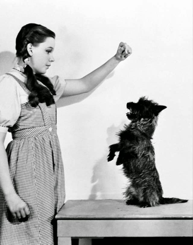 Judy Garland And Terry Pose For A Publicity Shot.