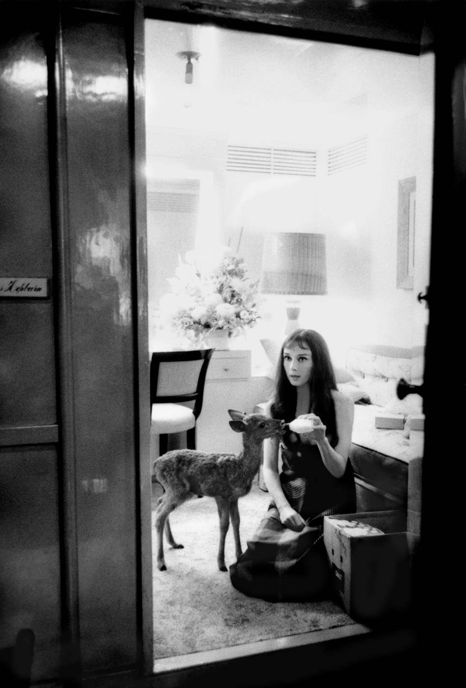 Audrey Hepburn Feeds Her Pet Deer Ip Its Morning Bottle During A Break From Filming On Mgm'S &Amp;Quot;Green Mansions,&Amp;Quot; 1958.