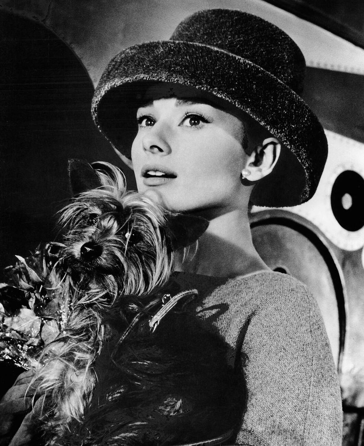 Audrey Hepburn In A Publicity Still, Funny Face, 1956