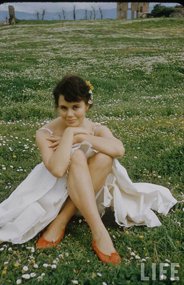 Georgia Moll In White: Stunning 1950S Photos That Define Timeless Beauty