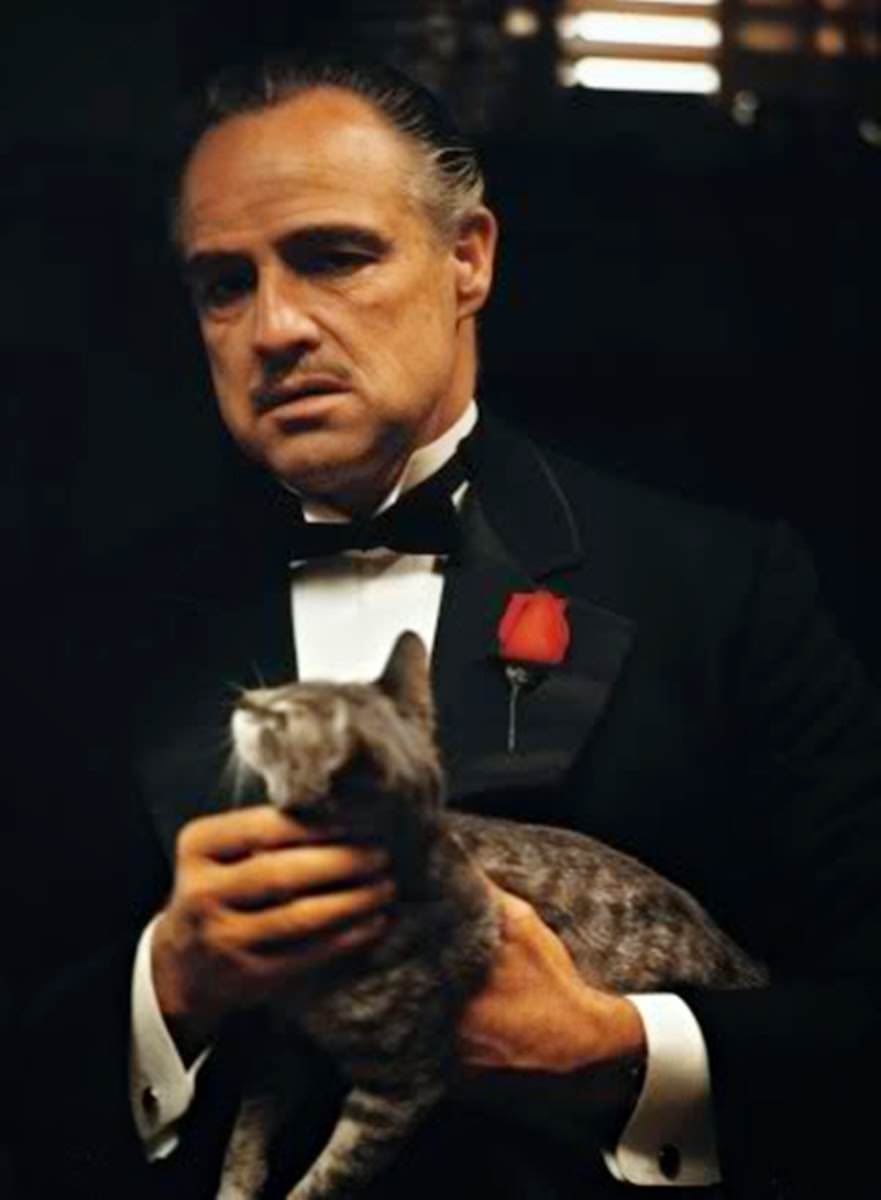 Marlon Brando Is Don Vito Corleone.