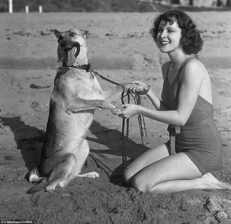 Frances Dee Frolics On The Beach With Her German Shepherd In 1933.