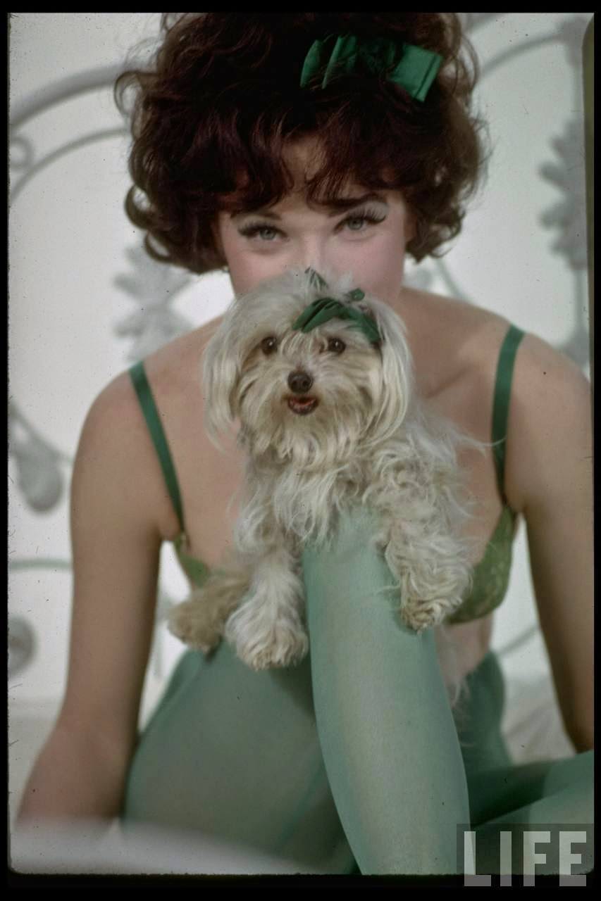Shirley Maclaine As Irma Posing With A Small Dog, Irma La Douce, 1963