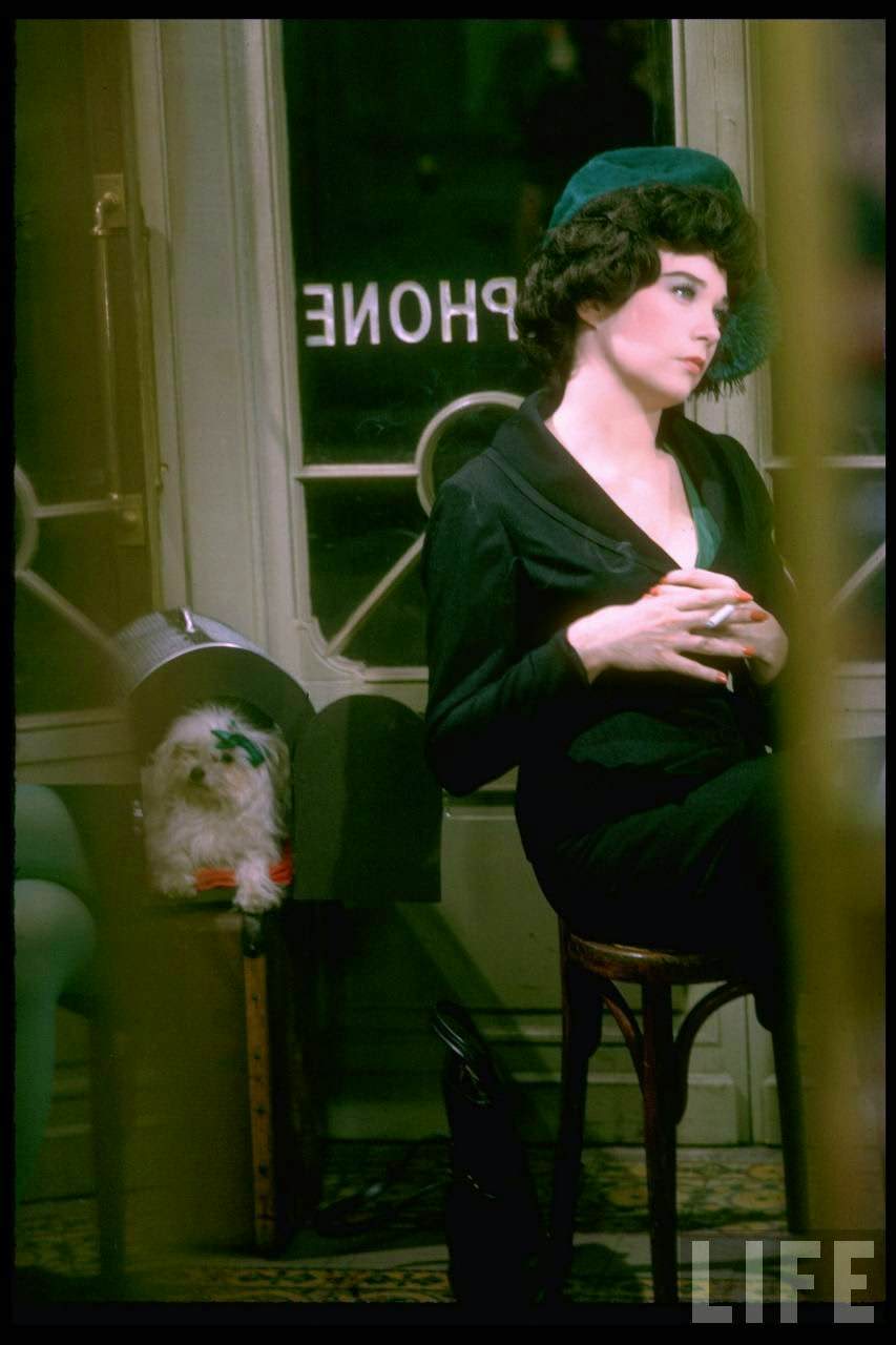 Shirley Maclaine As Irma Sitting In A Cafe With A Small Dog, Irma La Douce, 1963