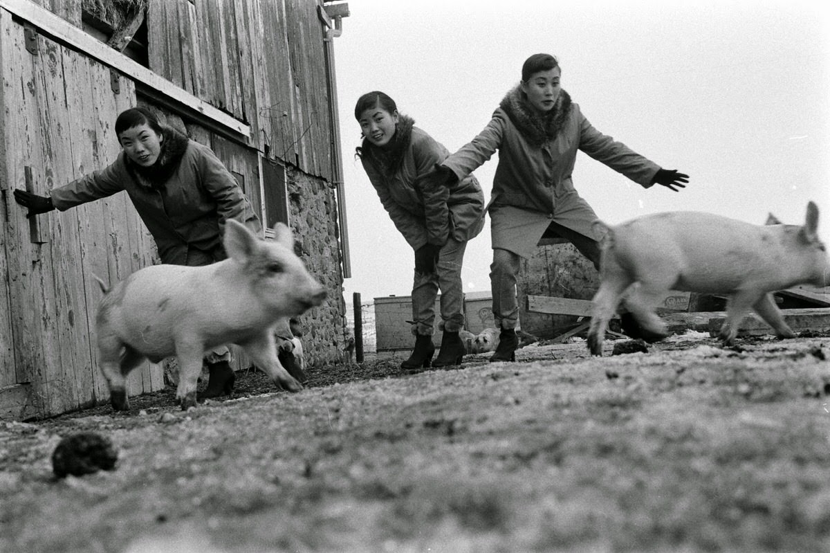 Kim Sisters, Illinois, 1960.