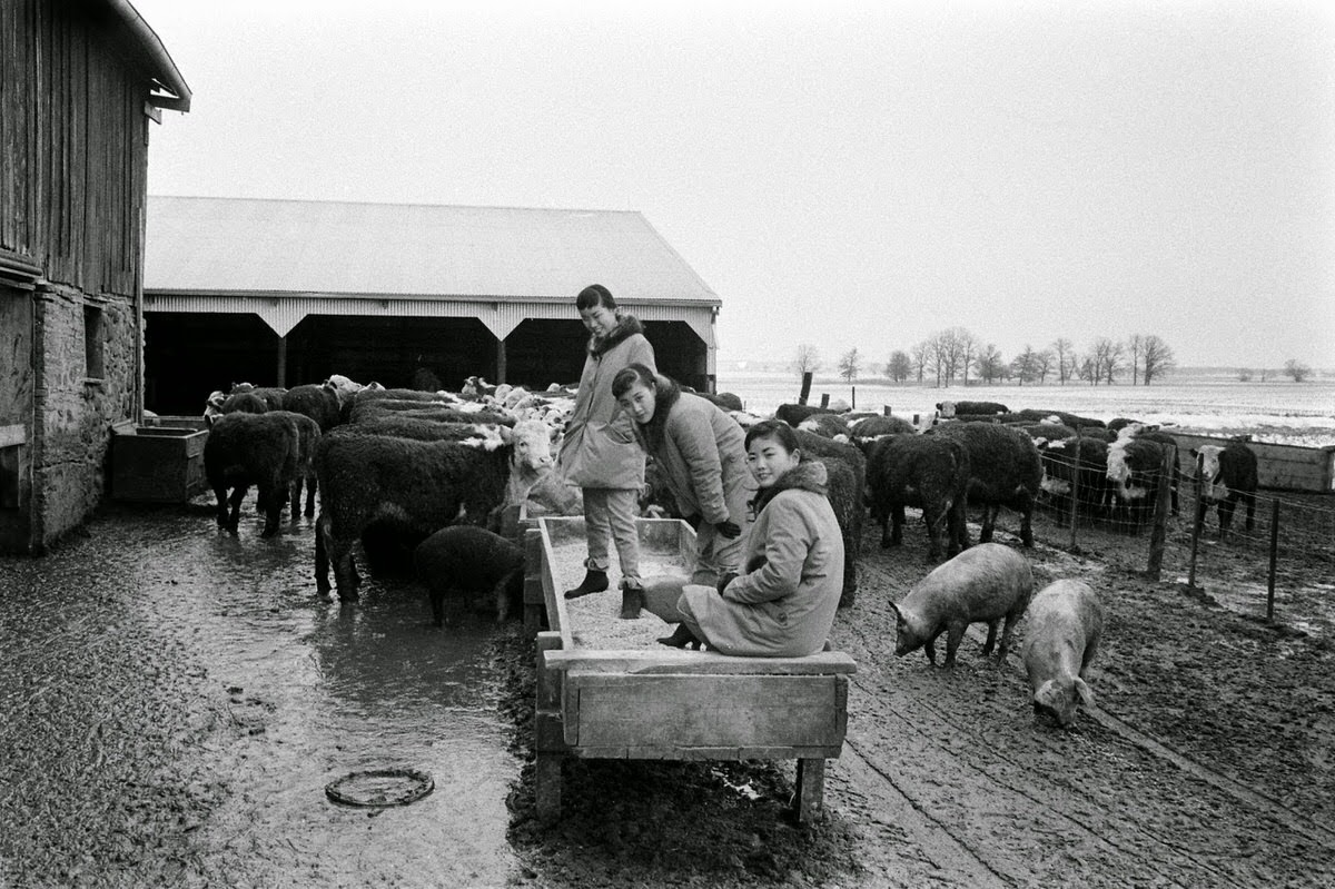 Kim Sisters, Illinois, 1960.
